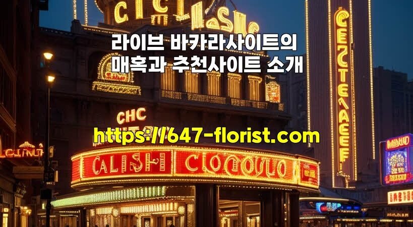 라이브 바카라사이트의 매혹과 추천사이트 소개