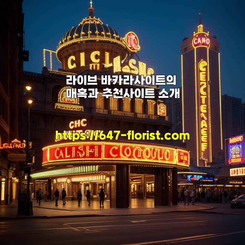 라이브 바카라사이트의 매혹과 추천사이트 소개